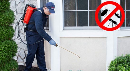 Göle Kemirgen İlaçlama böcek ilaçlama ve haşere kontrolü — ilaclama-tr.com